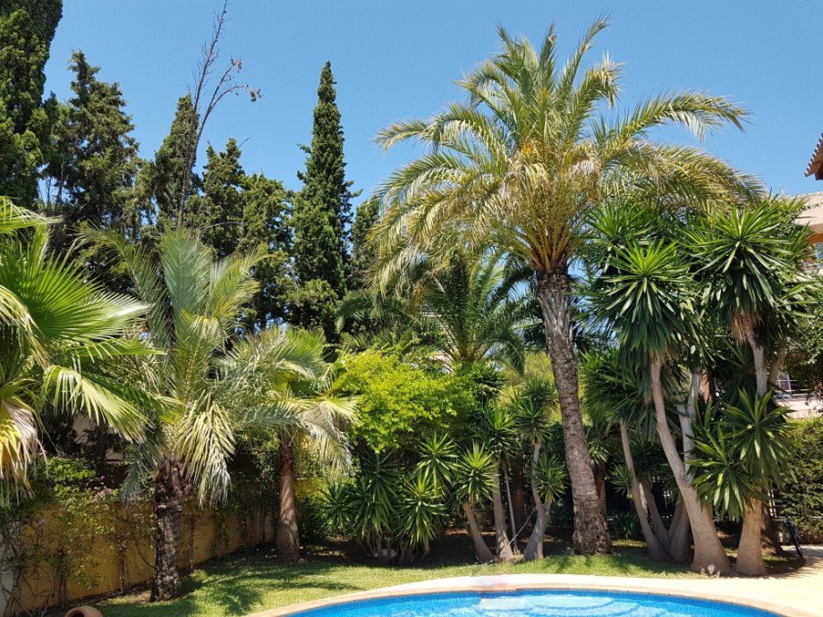  Villa Calvi� / Palmanova