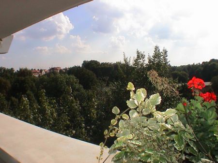 Blick von Terrasse Terrassenwohnung M�nchen