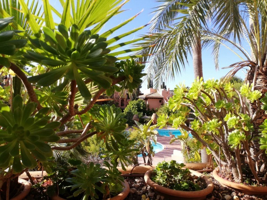  Etagenwohnung Calvi� / Santa Pon�a