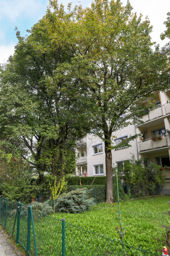 Gepflegtes Haus im Gr�nen.png Etagenwohnung M�nchen Untermenzing