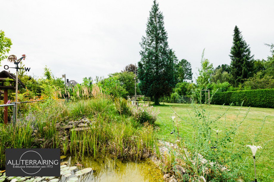  Zweifamilienhaus M�nchen