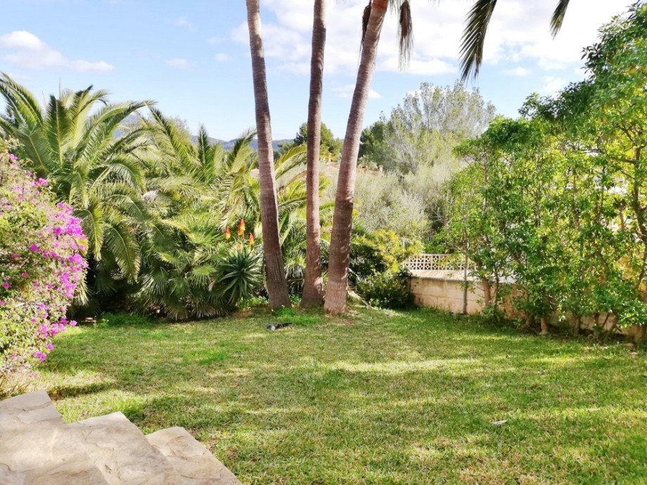 Garten Villa Calvi� / Costa de la Calma