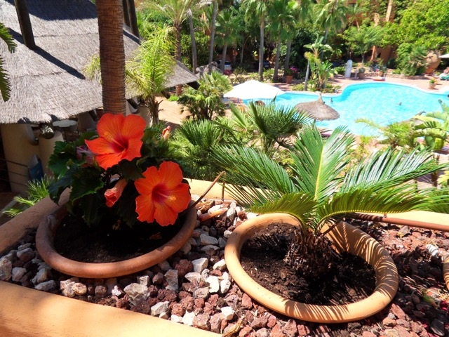  Etagenwohnung Calvi� / Santa Pon�a