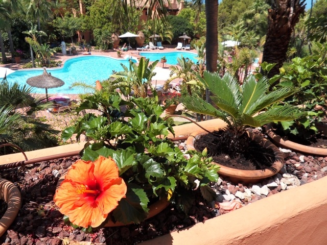  Etagenwohnung Calvi� / Santa Pon�a