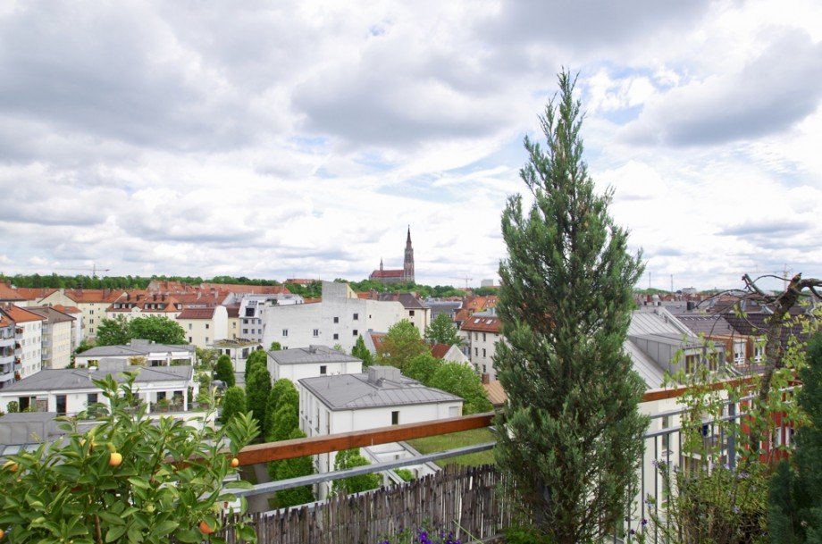  Dachgeschosswohnung M�nchen