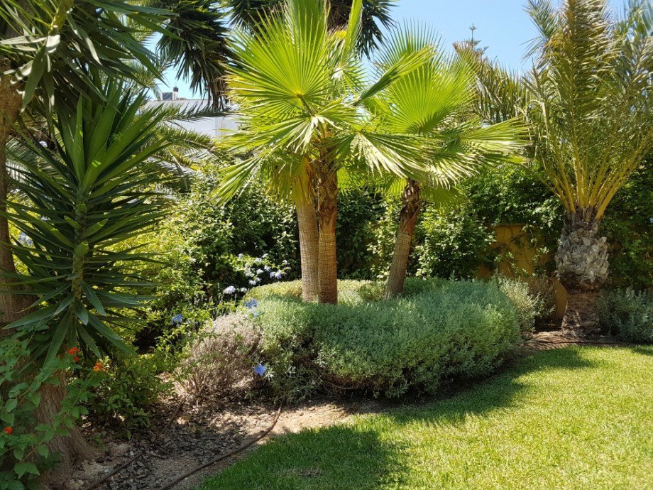  Villa Calvi� / Palmanova