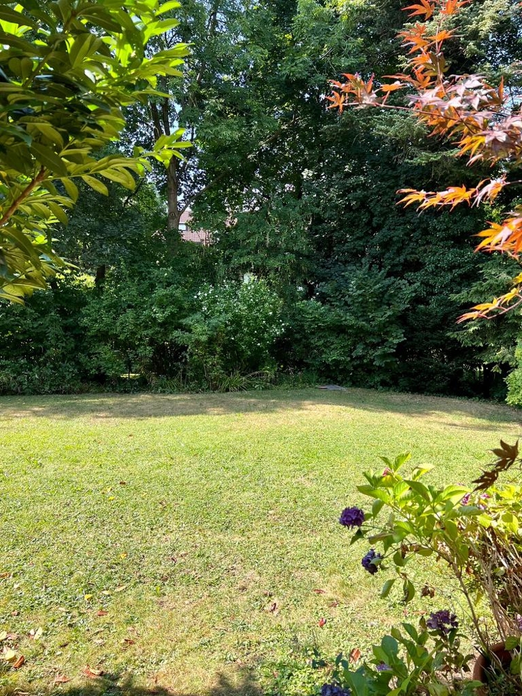 Blick in den Garten Terrassenwohnung M�nchen