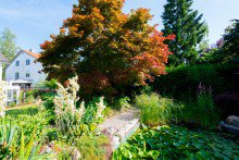 Gartenteich VERKAUFT ! WUNDERSCH�NE GARTENWOHNUNG MIT TRAUMGARTEN UND TEICH IN BESTLAGE HARLACHING - U-BAHN