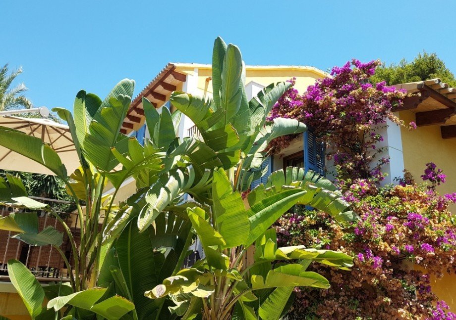  Villa Calvi� / Palmanova