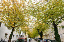 Guldeinstr 52-23 VERKAUFT ! ERSTBEZUG NACH SANIERUNG ! TOPLAGE IM WESTEND - 3 ZIMMER + WOHNK�CHE - PROVISIONSFREI !