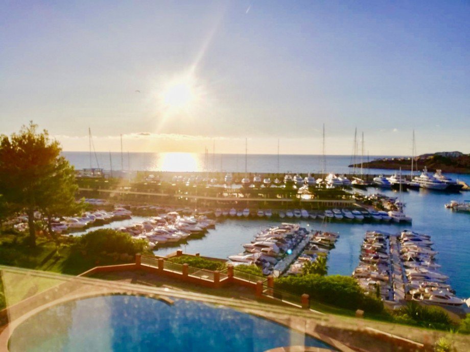Poolbereich Penthousewohnung Calvi� / el Toro