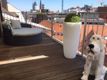 Relaxen auf der Su?d-Ost-Terrasse VERMIETET - TRAUMWOHNUNG MIT DACHTERRASSE BLICK �BER DIE ALTSTADT ! GEWERBLICH NUTZBAR !