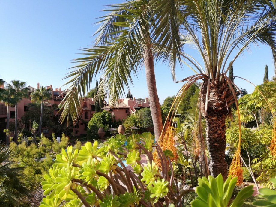  Etagenwohnung Calvi� / Santa Pon�a