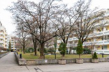  VERMIETET DACHTERRASSEN WOHNUNG IN NEUHAUSEN MIT BLICK �BER DIE STADT- ERSTBEZUG NACH SANIERUNG !